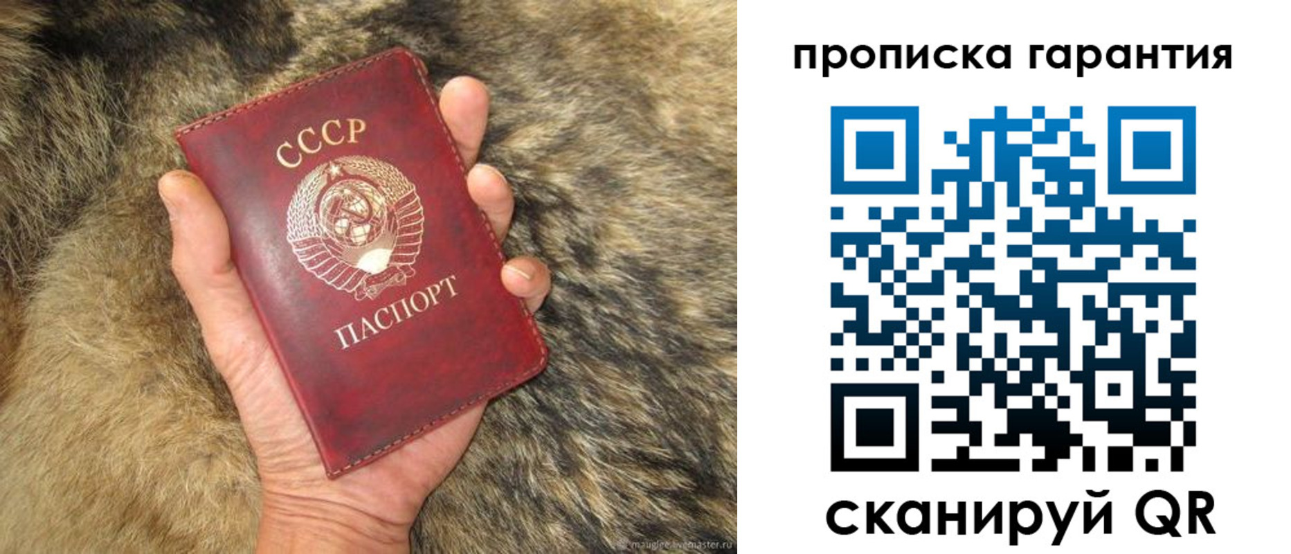 прописка паспорт в Торопеце